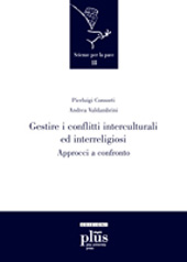 Capítulo, La trasformazione nonviolenta dei conflitti secondo il metodo Transcend, PLUS-Pisa University Press