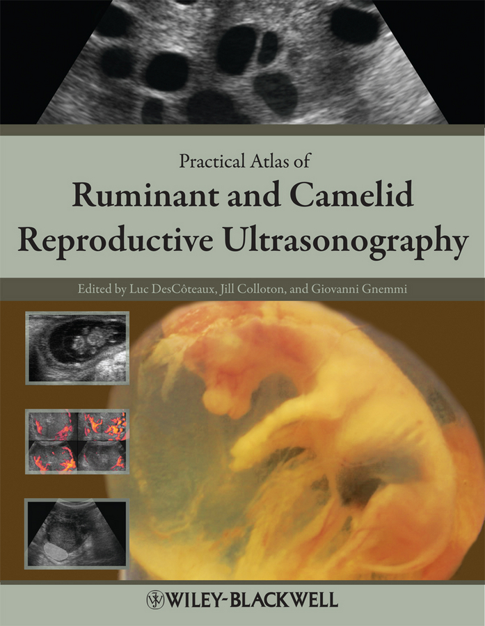E-book, Practical Atlas of Ruminant and Camelid Reproductive Ultrasonography, Blackwell