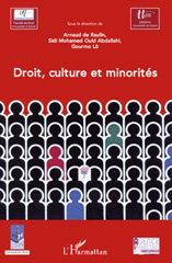 E-book, Droit, culture et minorités, L'Harmattan