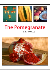 E-book, The Pomegranate, New India Publishing Agency
