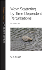 E-book, Wave Scattering by Time-Dependent Perturbations : An Introduction, Princeton University Press