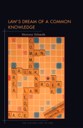 eBook, Law's Dream of a Common Knowledge, Princeton University Press