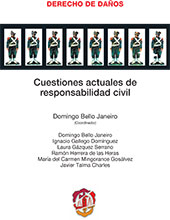 E-book, Cuestiones actuales de responsabilidad civil, Reus