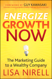 E-book, Energize Growth Now : The Marketing Guide to a Wealthy Company, John Wiley & Sons