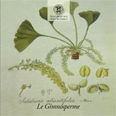 E-book, Le piante dell'orto botanico : le gimnosperme, CLUEB