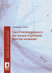 E-book, Use of Microorganisms in the Removal of Pollutants from the Wastewater, Colica, Giovanni, Firenze University Press