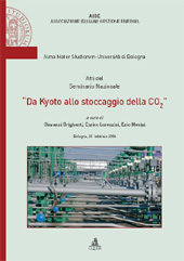 E-book, Da Kyoto allo stoccaggio della Co2 : seminario nazionale : Bologna, 28 febbraio 2006, CLUEB