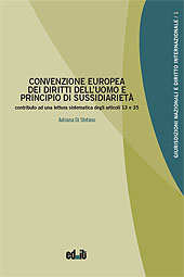 E-book, Convenzione europea dei diritti dell'uomo e principio di sussidiarietà : contributo ad una lettura sistematica degli articoli 13 e 35, Ed.it