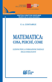 E-book, Matematica : cosa, perché, come : lezioni per la formazione iniziale degli insegnanti, L. Pellegrini