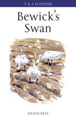 E-book, Bewick's Swan, Rees, Eileen, Bloomsbury Publishing
