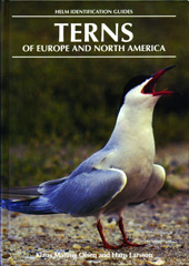E-book, Terns of Europe and North America, Bloomsbury Publishing