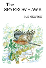 E-book, The Sparrowhawk, Bloomsbury Publishing