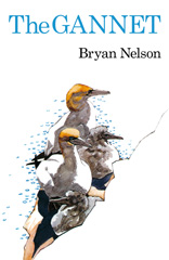 E-book, The Gannet, Bloomsbury Publishing