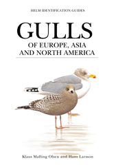 eBook, Gulls of Europe, Asia and North America, Bloomsbury Publishing