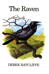 E-book, The Raven, Bloomsbury Publishing