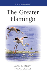E-book, The Greater Flamingo, Bloomsbury Publishing