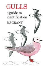 E-book, Gulls : A Guide to Identification, Bloomsbury Publishing