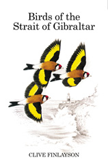 E-book, Birds of the Strait of Gibraltar, Bloomsbury Publishing