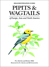eBook, Pipits and Wagtails of Europe, Asia and North America, Bloomsbury Publishing
