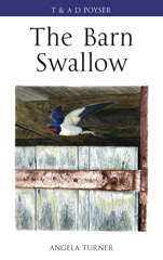 E-book, The Barn Swallow, Turner, Angela, Bloomsbury Publishing