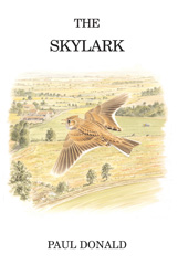 E-book, The Skylark, Bloomsbury Publishing