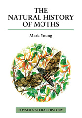 E-book, The Natural History of Moths, Young, Mark, Bloomsbury Publishing