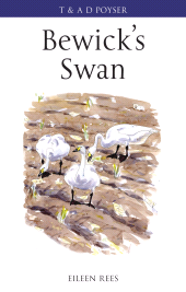 E-book, Bewick's Swan, T & AD Poyser