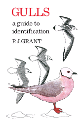 E-book, Gulls: A Guide to Identification. 2nd Edition, T & AD Poyser