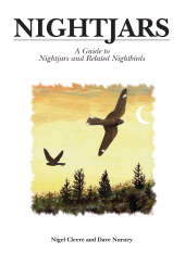 E-book, Nightjars : A Guide to Nightjars and related birds, Helm