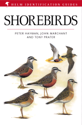 E-book, Shorebirds, Helm