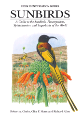 eBook, Sunbirds : A Guide to the Sunbirds, Flowerpeckers, Spiderhunters and Sugarbirds of the World, Helm