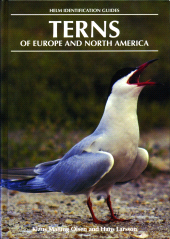 E-book, Terns of Europe and North America, Helm