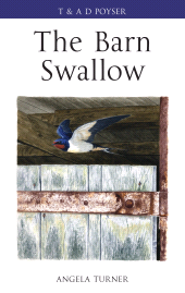 E-book, The Barn Swallow, T & AD Poyser