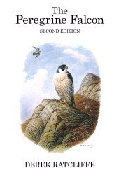 E-book, The Peregrine Falcon, T & AD Poyser