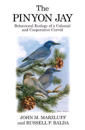 E-book, The Pinyon Jay : Behavioral Ecology of a Colonial and Cooperative Corvid, T & AD Poyser