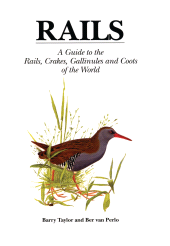 E-book, Rails : A Guide to Rails, Crakes, Gallinules and Coots of the World, Helm