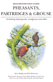 E-book, Pheasants, Partridges & Grouse : Including buttonquails, sandgrouse and allies, Helm