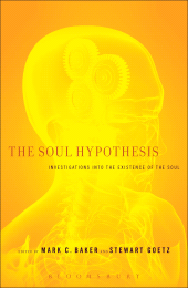 E-book, The Soul Hypothesis : Investigations into the Existence of the Soul, Continuum
