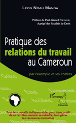 E-book, Pratique des relations du travail au Cameroun : par l'exemple et les chiffres, L'Harmattan