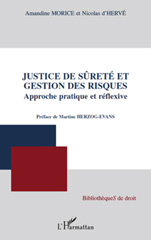 E-book, Justice de sûreté et gestion des risques : approche pratique et réflexive, L'Harmattan