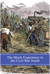 E-book, The Black Experience in the Civil War South, Praeger Publisher