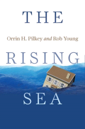 E-book, The Rising Sea, Princeton University Press