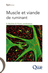 E-book, Muscle et viande de ruminant, Éditions Quae