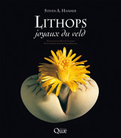E-book, Lithops : Joyaux du veld, Hammer, Steven, Éditions Quae