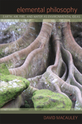E-book, Elemental Philosophy : Earth, Air, Fire, and Water as Environmental Ideas, SUNY Press - State University of New York Press