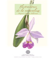 E-book, Ilustraciones de la naturaleza, Editorial Utadeo