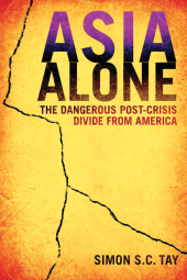 E-book, Asia Alone : The Dangerous Post-Crisis Divide from America, Tay, Simon S. C., Wiley