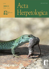 Article, Preliminary Results on Tail Energetics in the Moorish Gecko, Tarentola mauritanica, Firenze University Press