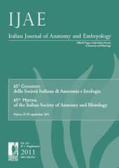Article, Physiology and pathophysiology of the RANKl/RANK system, Firenze University Press
