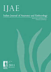 Heft, IJAE : Italian Journal of Anatomy and Embryology : 116, 1, 2011, Firenze University Press